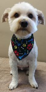 Bow Wow Boutique dog grooming london ontario small dog grooming by bow wow boutique dog grooming london ontario